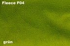 F04 grün