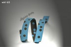 wb1-003 - 10 mmBreite
Design "Dots blau"