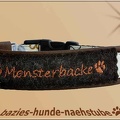 437 HBv Monsterbacke