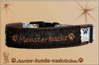 437 HBv Monsterbacke
