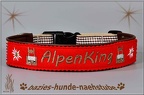 B1135 HBv Alpenking