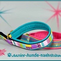 K11-1034 Set-1 KleSa