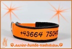 B1425 ZHB Chipsy bestickt