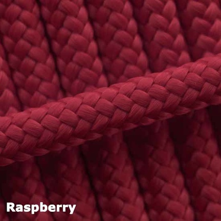 10  Raspberry